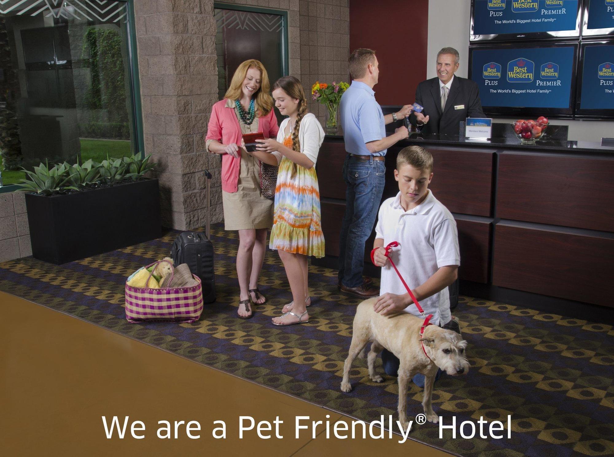Quality Inn & Suites Phoenix Nw - Sun City Youngtown Екстер'єр фото